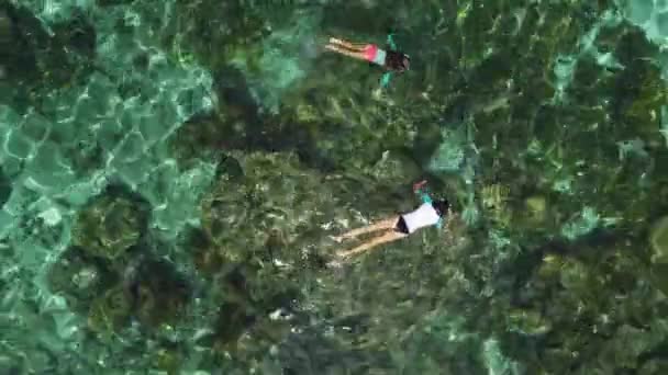 サンゴ礁の上を泳ぐスノーケリング ニューカレドニア熱帯島 空の景色 — ストック動画