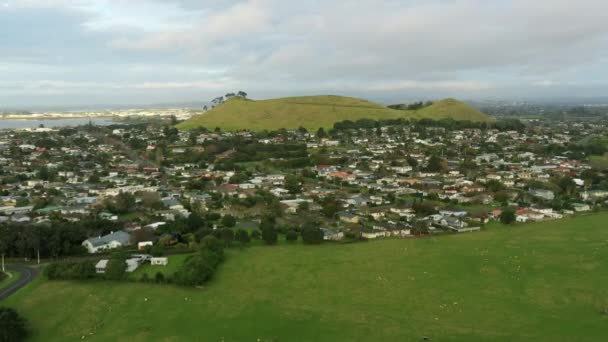 一个靠近羊群公园的小镇 新西兰一个羊公园的无人机录像 — 图库视频影像