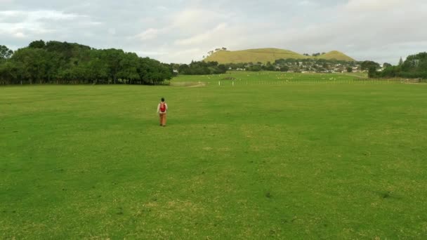 羊の公園を歩いている男 ニュージーランドの羊公園のドローン映像 — ストック動画