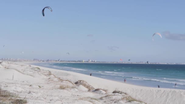 Kitesurfer Genießen Einen Sonnigen Und Windigen Tag Strand — Stockvideo