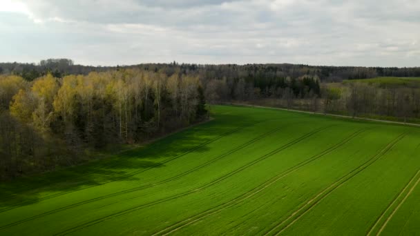 晴れた日に森の中の美しい緑の農場フィールド上の航空便 — ストック動画