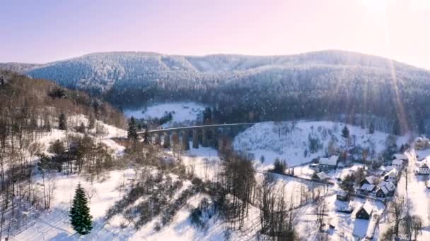 Χειμερινή Ορεινή Ύπαιθρο Μια Σιδηροδρομική Γέφυρα Στο Χιόνι Που Πέφτει — Αρχείο Βίντεο
