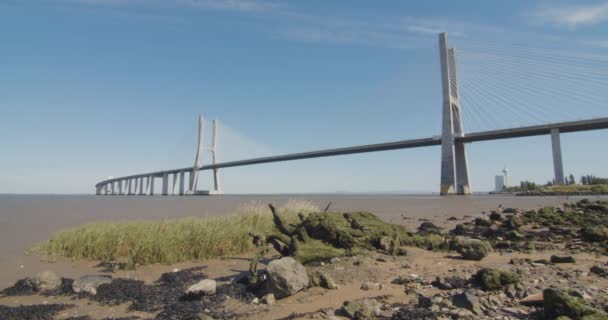 Низький Пляж Лісабоні Португалія Міст Васко Гами Відстані — стокове відео