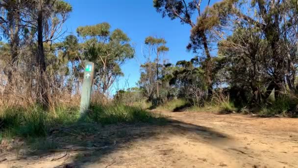 Wegweiser Entlang Eines Von Bäumen Gesäumten Wanderweges Australien — Stockvideo