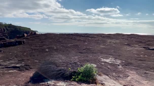 Rood Rotsachtig Landschap Leidt Tot Een Uitzicht Oceaan Bewolkte Blauwe — Stockvideo