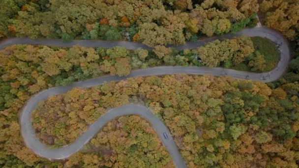 Bilkörning Slingrande Väg Vid Strandzha Berg Med Skog Hösten Bulgarien — Stockvideo