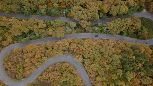 Car Driving On Curved Mountain Road In Autumn. Strandzha Mountain In Bulgaria. aerial top-down