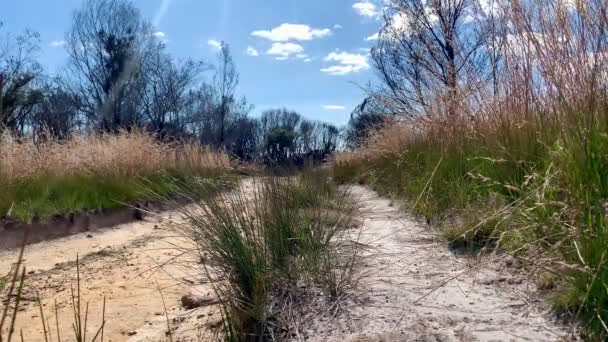 Sentier Randonnée Mène Sentier Accès Feu Australie — Video