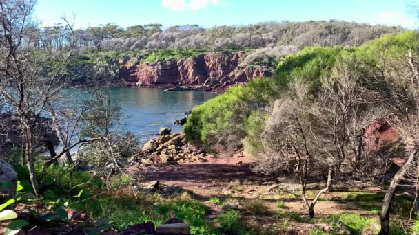 Vista Distanza Del Bush Che Circonda Una Spiaggia Australiana — Video Stock