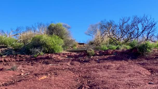 Roca Roja Conduce Escaleras Madera Cerca Arbustos Parte Superior Australia — Vídeo de stock