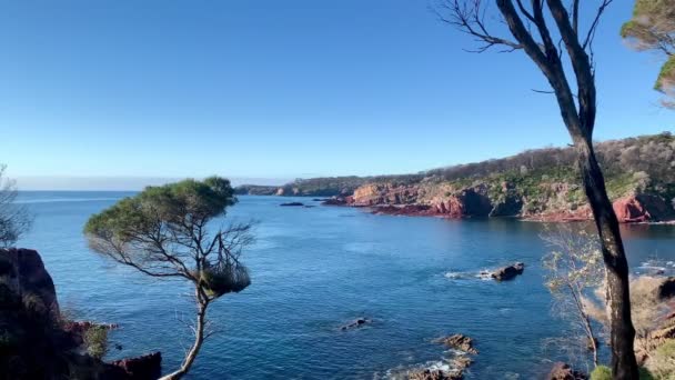 Australiska Havsvik Utkik Med Träd — Stockvideo