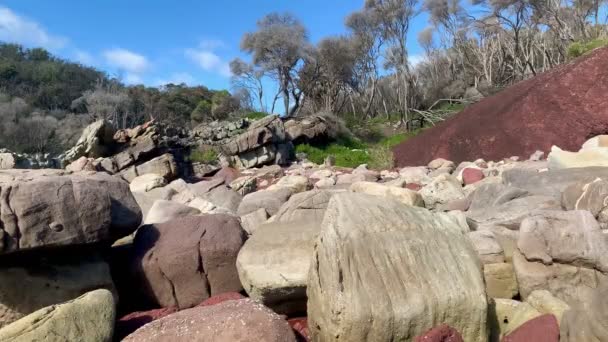 Nagy Sziklák Fák Előtt Ausztráliában — Stock videók