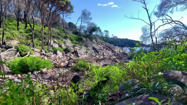 Droge Rotsachtige Kreek Leidt Naar Oceaan Australische — Stockvideo