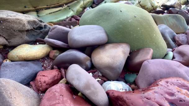 Pedras Coloridas Lisas Uma Praia Rochosa Austrália — Vídeo de Stock