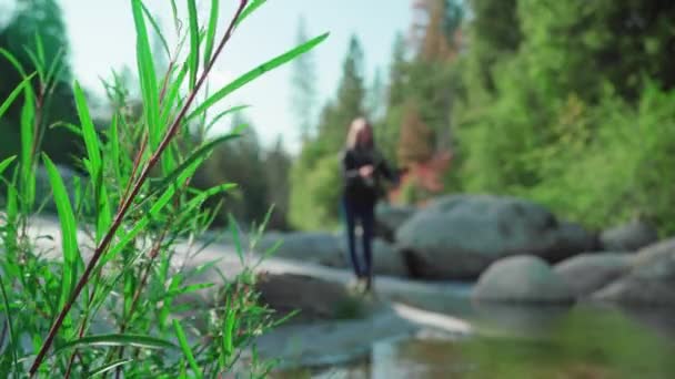 Front Focus Pêche Mouche Femme Dans Ruisseau Luxuriant Yosemite Californie — Video