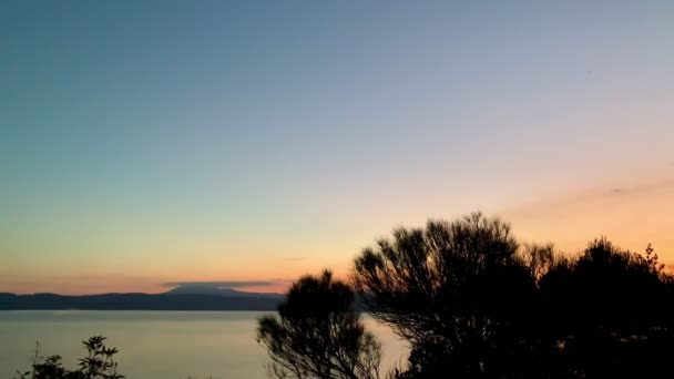 Silhouette Cespugli Contro Tramonto Australiano Arancione Una Baia Oceanica — Video Stock