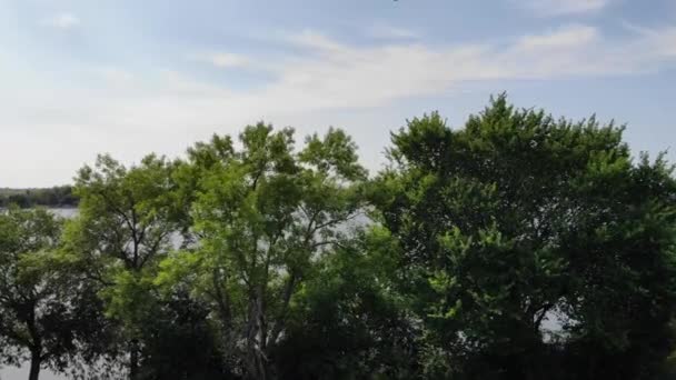 Onthulling Schot Het Meer Tijdens Zomer Met Boten — Stockvideo