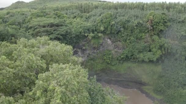 Rauschender Wasserfall Dschungel Des Tropischen Regenwaldes Filmische Luftaufnahme — Stockvideo