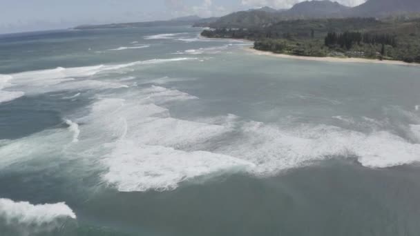 Onde Oceaniche Sulla Costa Tropicale Dell Isola Hawaiana Oahu Aereo — Video Stock