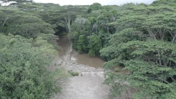 Wailua Falls Vattenfall Flöde Och Kaskader Vackra Hawaii Nature Scene — Stockvideo