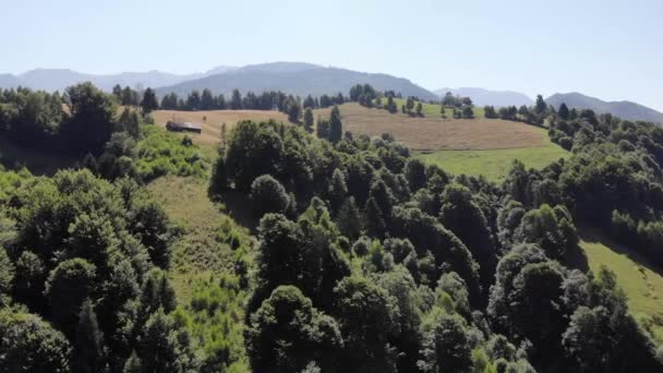 Wzgórza Wokół Otrębów Transilvania Rumunia — Wideo stockowe