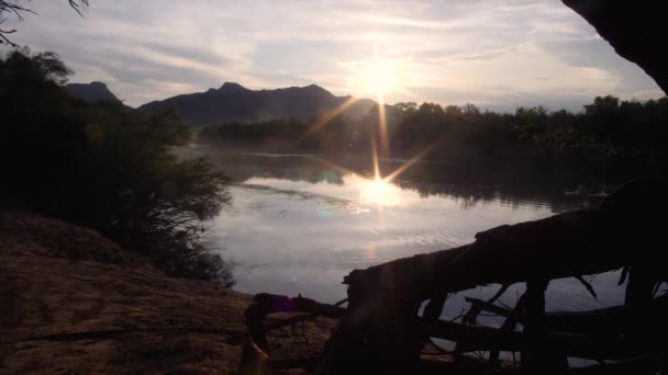 太陽を反射して塩川の上にシルエットメスキートの木 — ストック動画