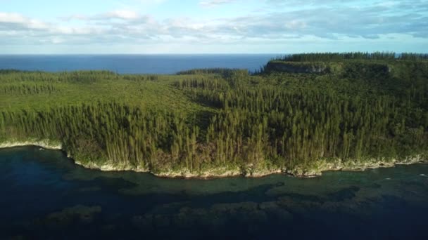 Aerial Îndepărtat Wabao Cape Noua Caledonie Izolat Mar Island Pacific — Videoclip de stoc