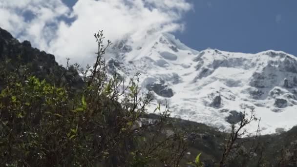 Rack Focus Pohled Zasněžené Hory Bush Pohybující Popředí Peru Uzamčeno — Stock video