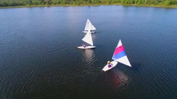 Segelbåtar Som Flyter Runt Stor Sjö — Stockvideo