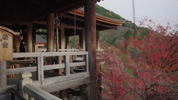 Kyoto Japan Red Autumn Maple Tree Architecture Kiyomizu Dera — Stock Video