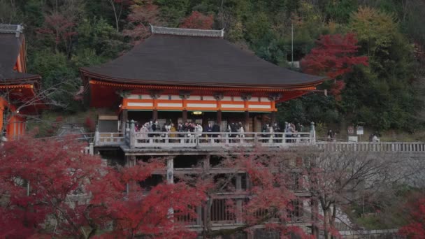 秋天参观清水寺的游客 — 图库视频影像