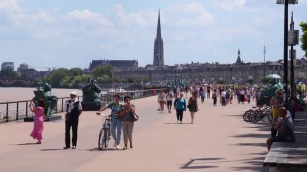 夏の日に有名なボルドーの歩道をガロンヌ川の隣に歩く人々 — ストック動画