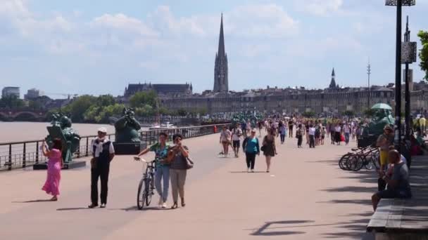 Folk Går Berömda Bordeaux Trottoar Bredvid Garonne Floden Sommardagen — Stockvideo