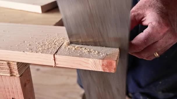 Męskie Dłonie Piłą Drewna Zbliżenie — Wideo stockowe