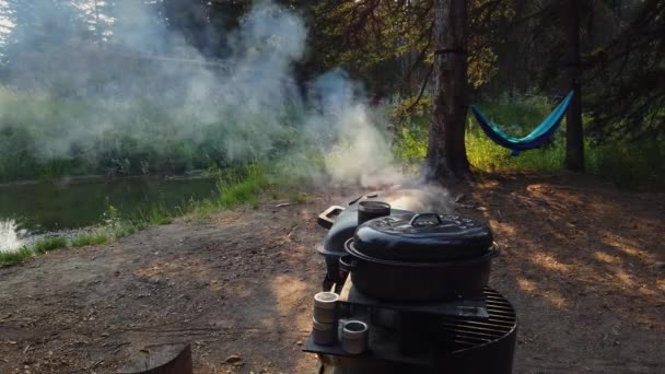 Camping Naturen Bredvid Dammen Rök Stiger Från Grillen — Stockvideo