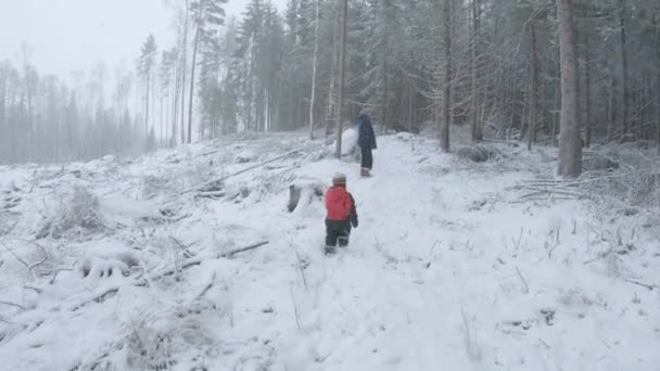 Föräldrars Och Barns Vandring Snöiga Fjället Snöfall Sverige Brett Skott — Stockvideo