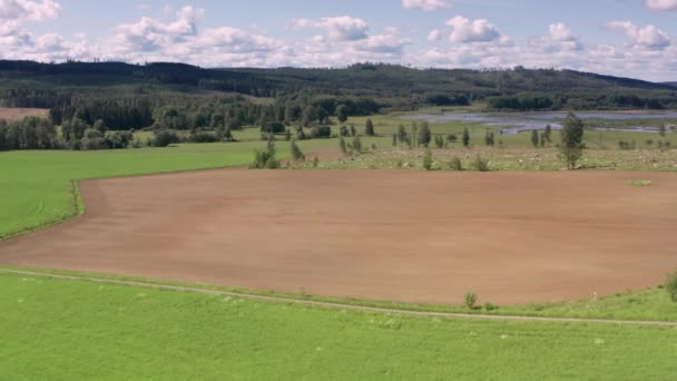 2ヶ月の空中のタイムラプスバック耕起地から成長する作物のWipe — ストック動画