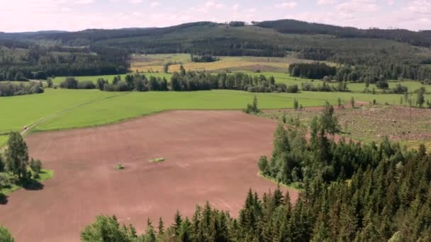 Woche Aerial Timelapse Eines Ackerkulturfeldes Von Der Bodenbearbeitung Bis Hin — Stockvideo