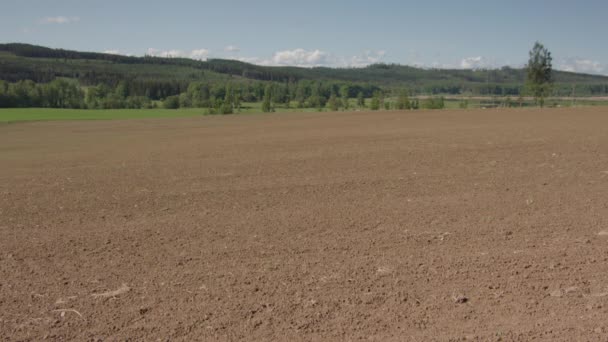 乾燥した土壌から緑豊かな緑のエンドウ豆とオート麦の作物への2ヶ月のタイムラプス — ストック動画