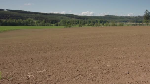 Miesięczny Czas Pan L2R Suchej Gleby Bujnych Upraw Zielonego Grochu — Wideo stockowe