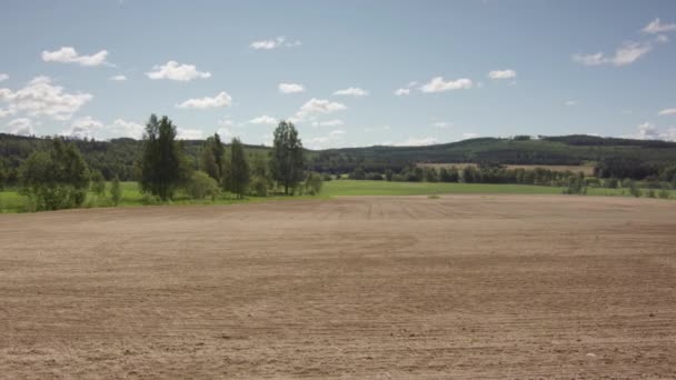 Tempo Longo Prazo Zoom Campo Arado Ficando Verde Com Culturas — Vídeo de Stock