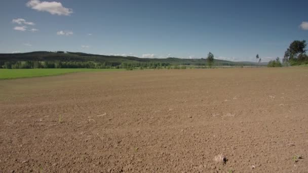 8周时间Zoom从耕地进入茂密的绿地 — 图库视频影像