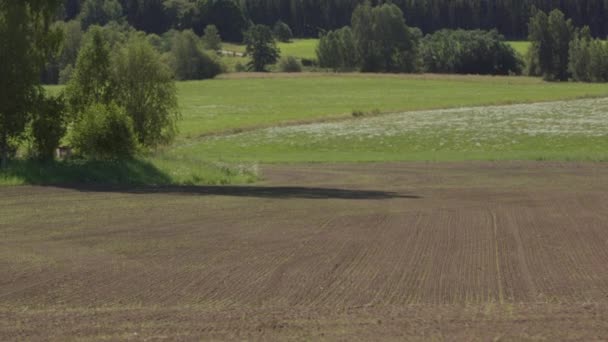 Dos Meses Zoom Timelapse Fuera Campo Cultivo Saltando Vida — Vídeos de Stock