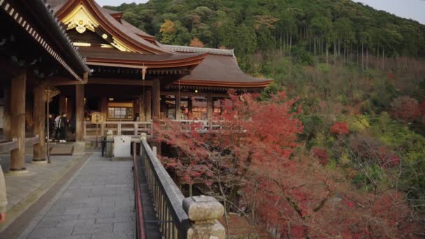 Kiyomizu Dera Colores Otoñales Cámara Lenta Estableciendo Tiro — Vídeos de Stock