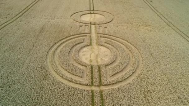 Vue Aérienne Dessus Message Crop Circle Sur Les Champs Blé — Video