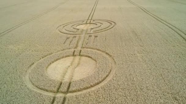 Extraño Sydmonton Campo Trigo Rural Campos Cultivo Círculos Tierras Cultivo — Vídeo de stock