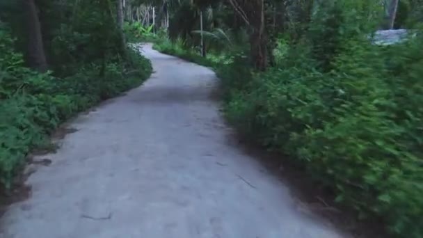 Stabil Lövés Lovaglás Közben Egy Sűrű Erdőben Egy Vidéki Erdőben — Stock videók