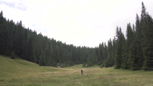 Turista Kráčí Mýtinou Směrem Kameře — Stock video