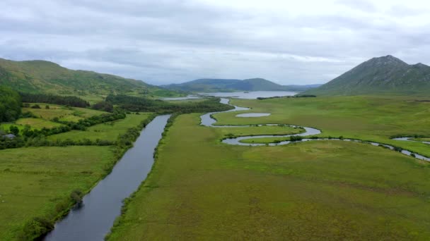 Failmore River Maum Connemara County Galway Ireland July 2021 ドローンはゆっくりと草の茂る湿地帯を東へとラフ — ストック動画