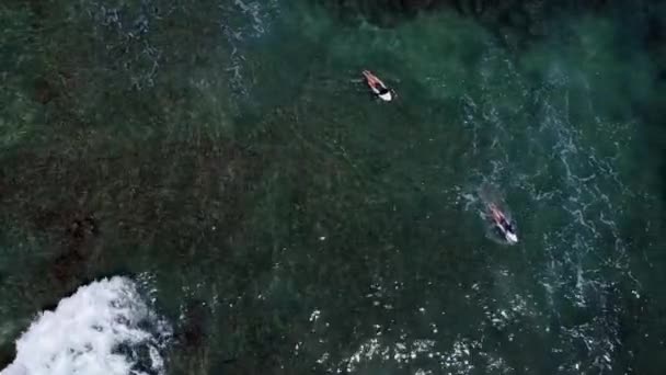 Drone Aéreo Tiro Dois Surfistas Remando Para Surfar Havaí — Vídeo de Stock